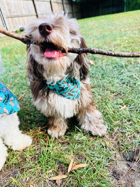 Branch Manager Over the Collar Bandana