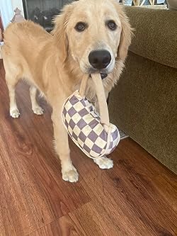 Louis Pawton Purse