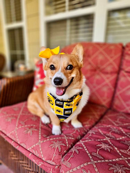 SMTTT Over the Collar Bandana