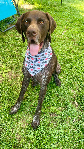 Mama’s Boy Over the Collar Bandana