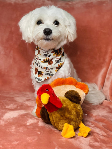 Gobble Wobble Over the Collar Reversible Bandana