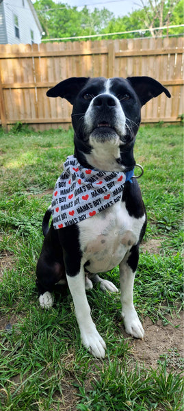 Mama’s Boy Over the Collar Bandana