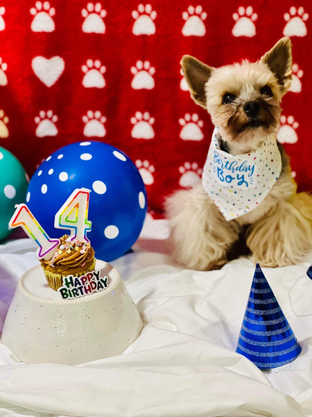 Birthday Bandana
