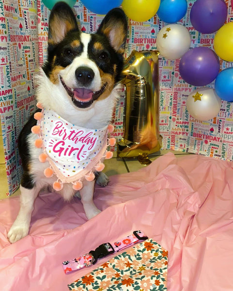Birthday Bandana