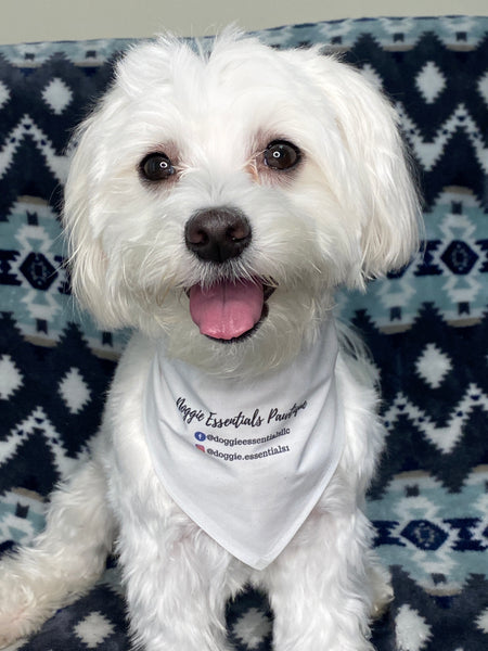 Custom Business Bandana