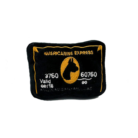 Americanine Express Credit Card