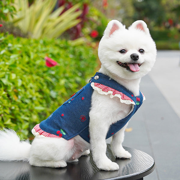 Cherry Denim Pet Dress