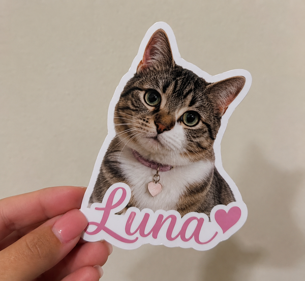 Die Cut Stickers