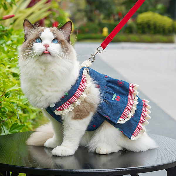 Cherry Denim Pet Dress
