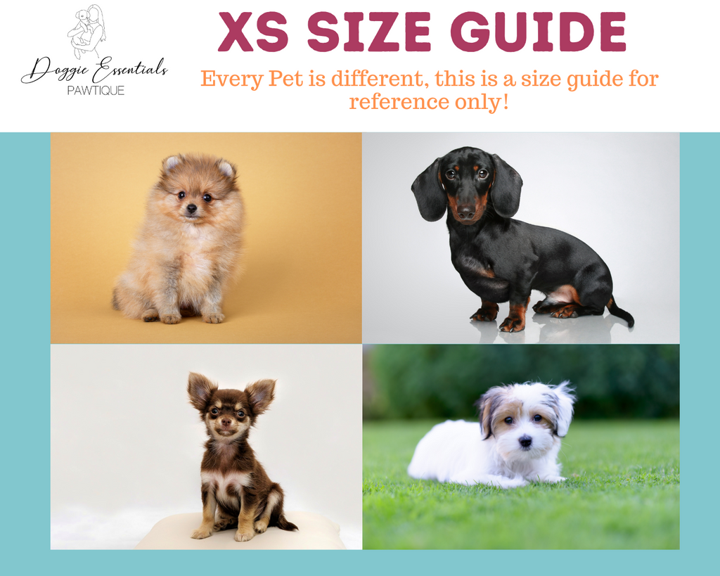 The Bark Side Collar Set - Main Image