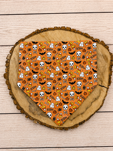Spooktacular Over the Collar Bandana