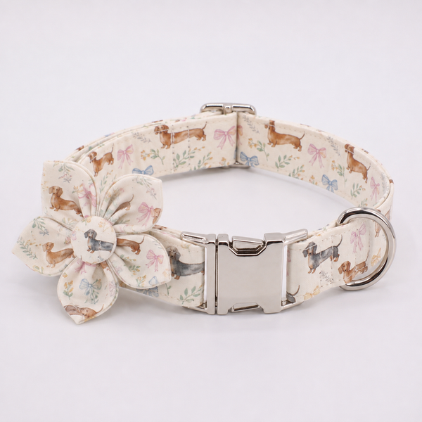 The Doxie Collar Set
