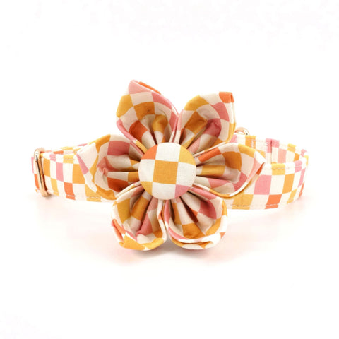 The Bark Side Collar Set