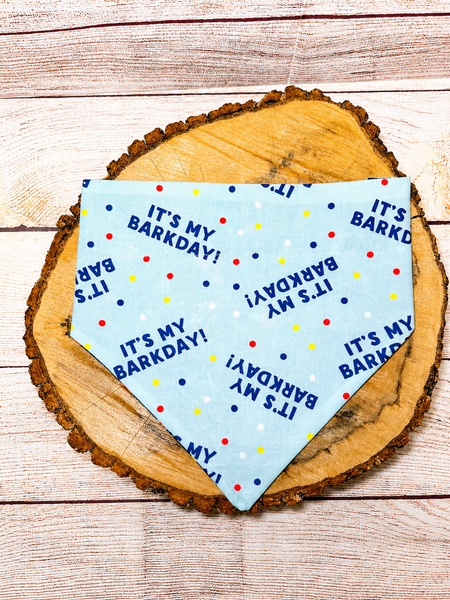Barkday Boy Over the Collar Bandana