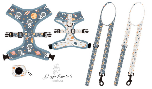 Starship Stroll Reversible Harness