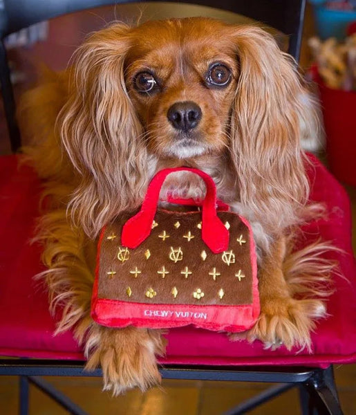 Chewy Vuitton Red Purse