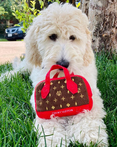Chewy Vuitton Red Purse