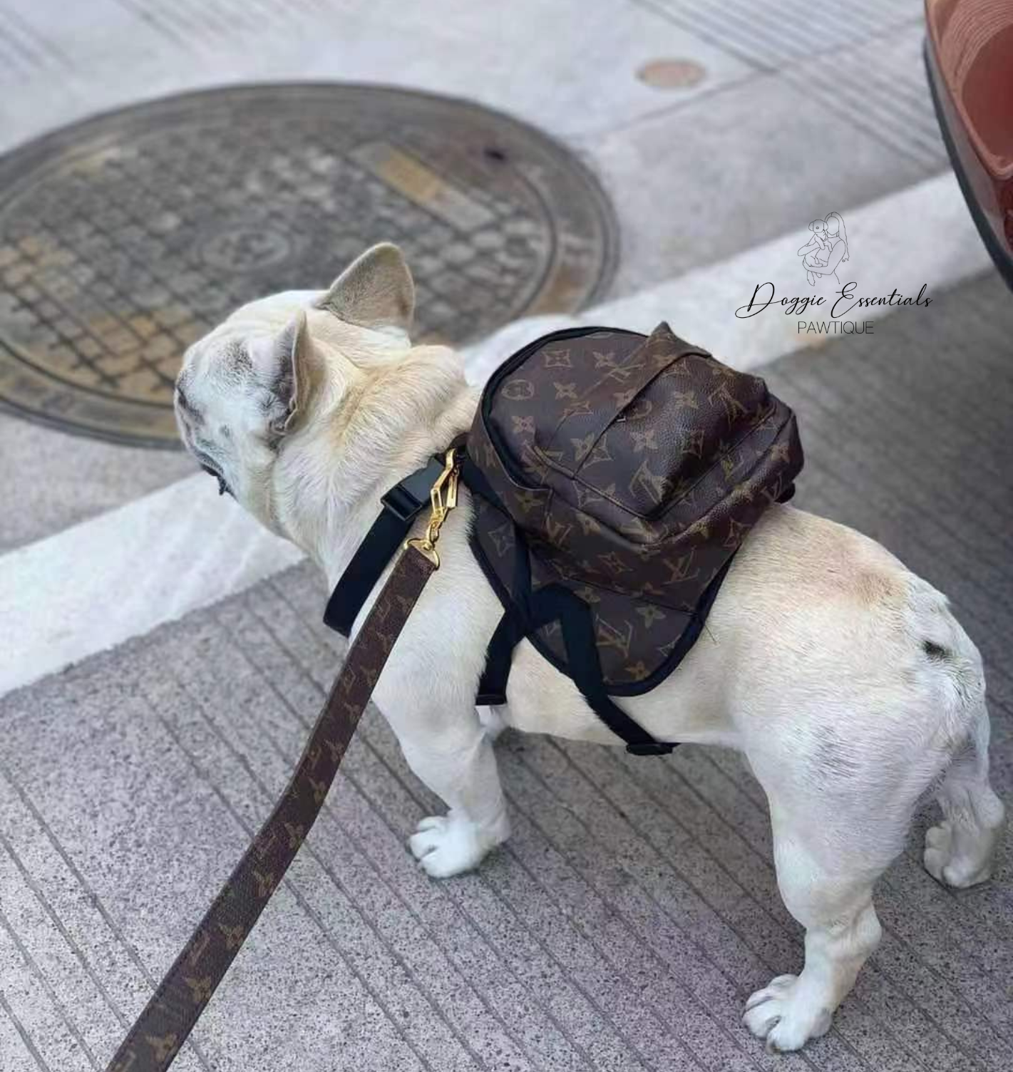 dog louis vuitton backpack mini Chewy Vuitton Pet Backpack – Doggie Essentials Pawtique