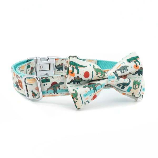 Paw-rex Collar Set