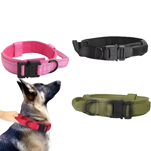 Heavy Duty Dog Collar