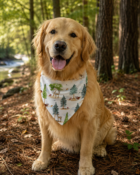 Outdoor Pup Over the Collar Bandana