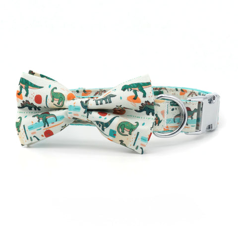 Paw-rex Collar Set