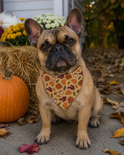 Pup-kin Spice Over the Collar Bandana