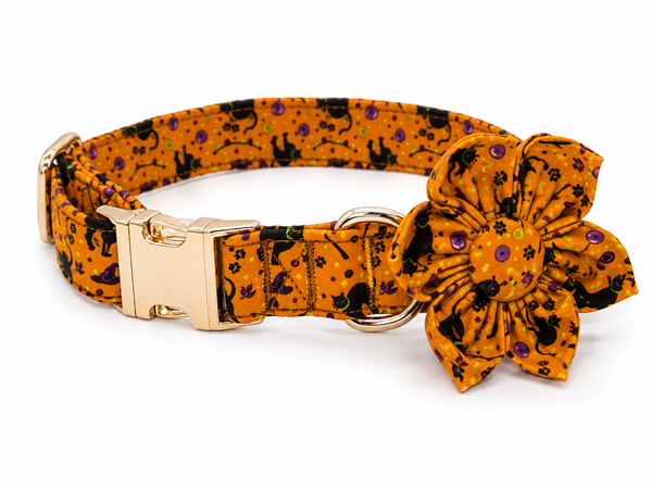 The Wicked Bow Collar Set