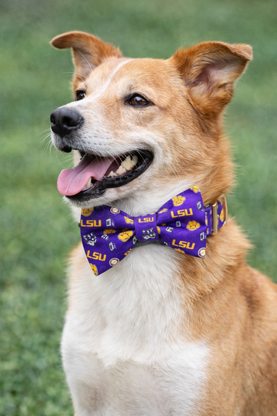 LSU Purple Collar Set