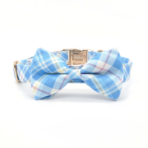 Tailored Tails Collar Set
