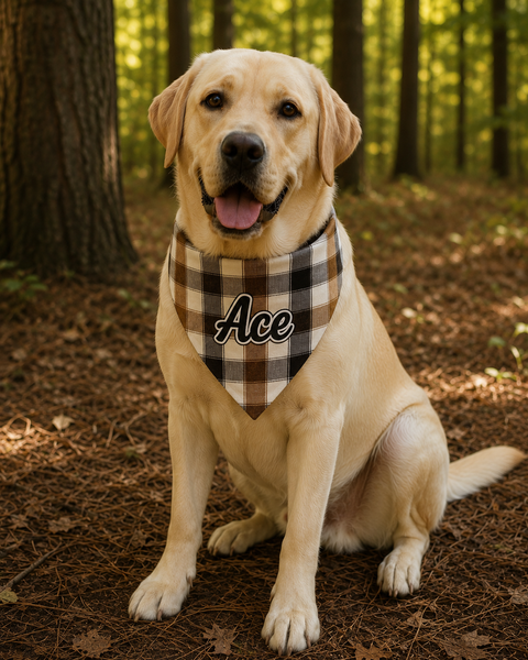 Fall Over the Collar Bandana
