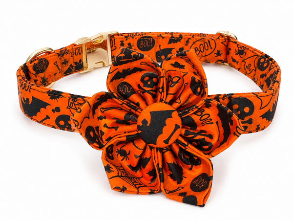 Trick or Treat Collar Set