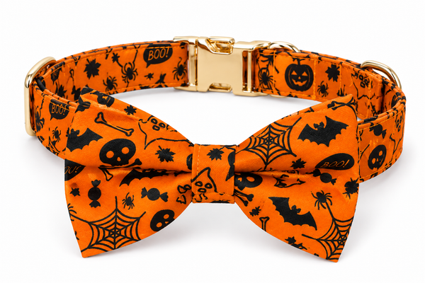 Trick or Treat Collar Set