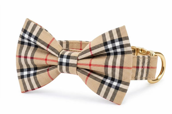 The Country Club Collar Set