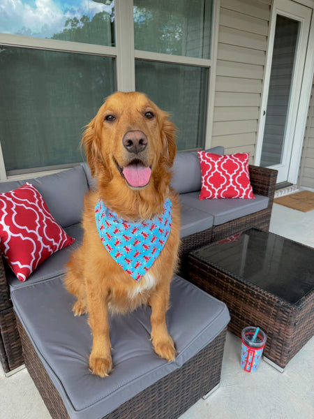 Crawfish Over the Collar Bandana