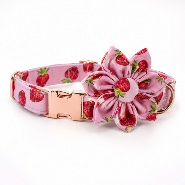 Berry Sweet Collar Set