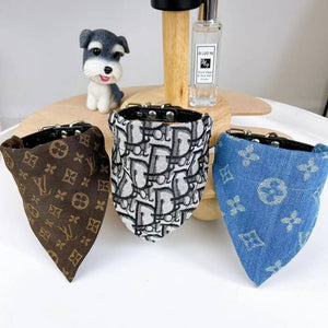 Louis Pawton Bandana & Collar