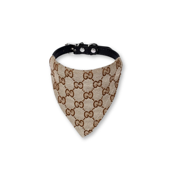 Pawcci Bandana & Collar