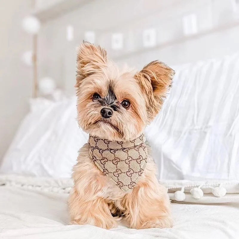 Pawcci Bandana & Collar