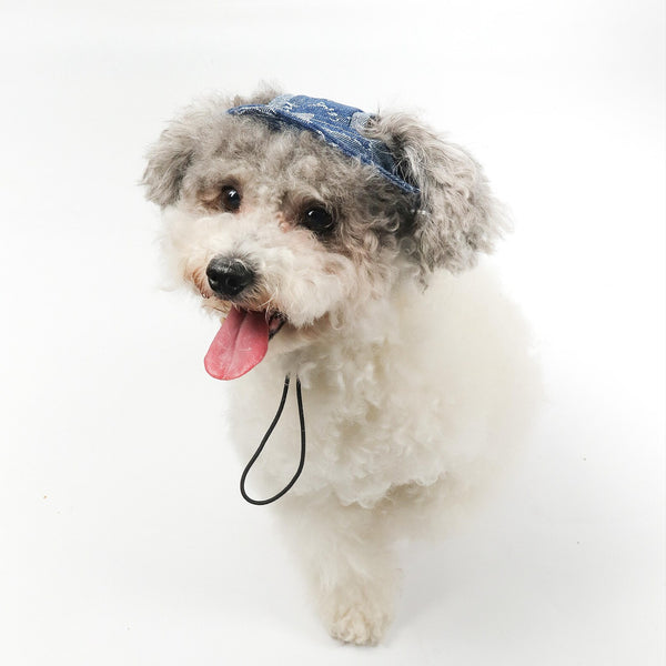Denim Pet Hat