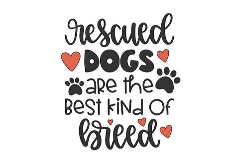 Rescued Dogs are the Best Kind of Breed
