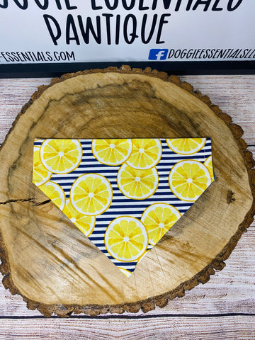 Lemons Over the Collar Bandana