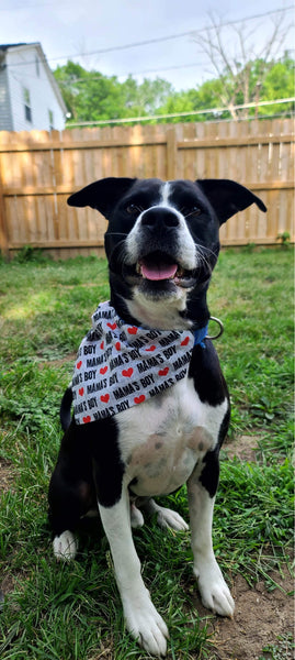 Mama's Boy Over the Collar Reversible Bandana